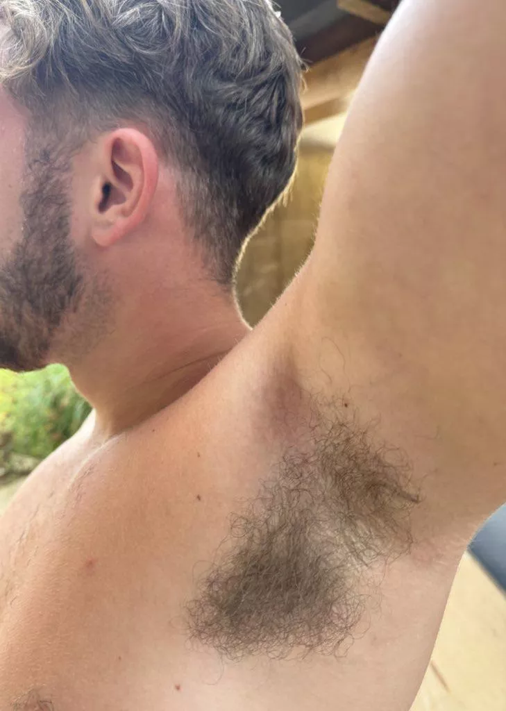 Where would you start, if I said to come see if they smell ?  posted by Kaiyourlocalbuilder