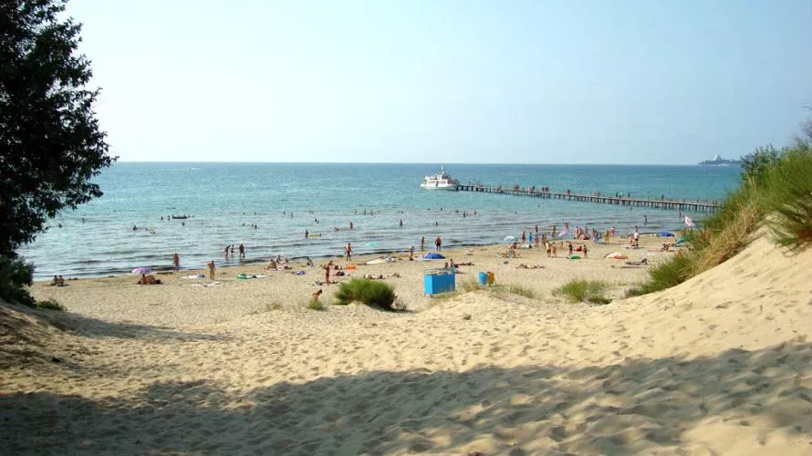 It's beautiful in the south ❤️😍 posted by mercury0913