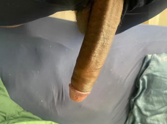 My dick “accidentally” slips out in front of you. Wyd?  by Low-Armadillo8279