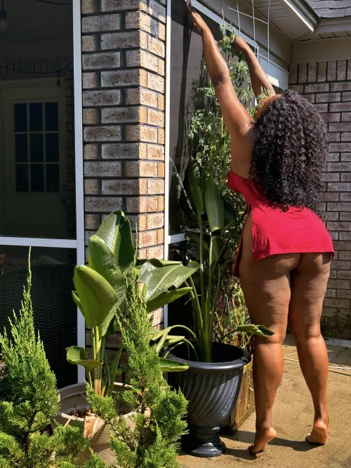 Can u help me with somthing?  by SMasscake