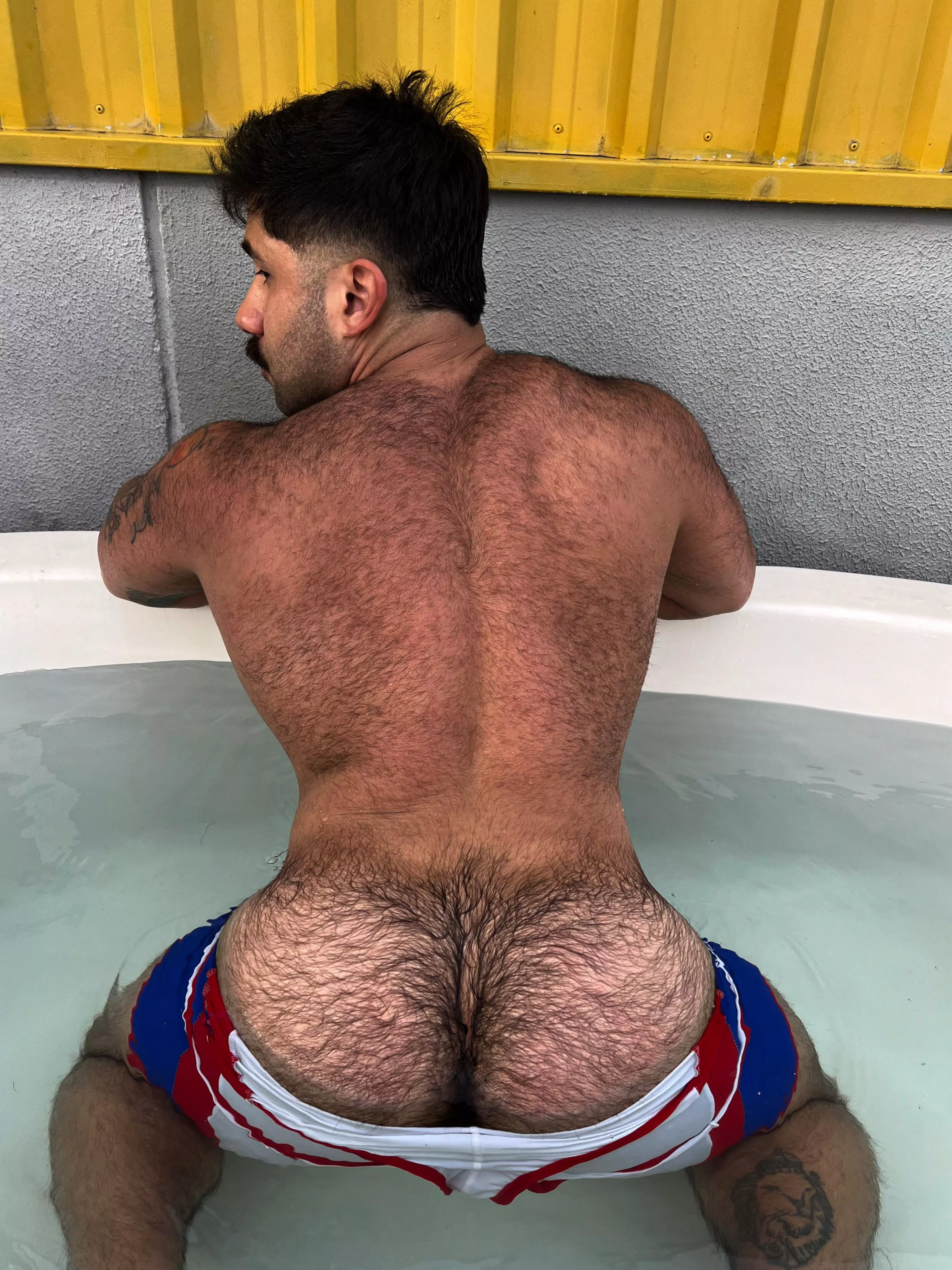 Do you like a hairy ass? posted by subxnco
