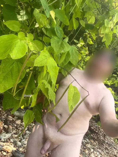 Jacks bean stalk by outdoordon