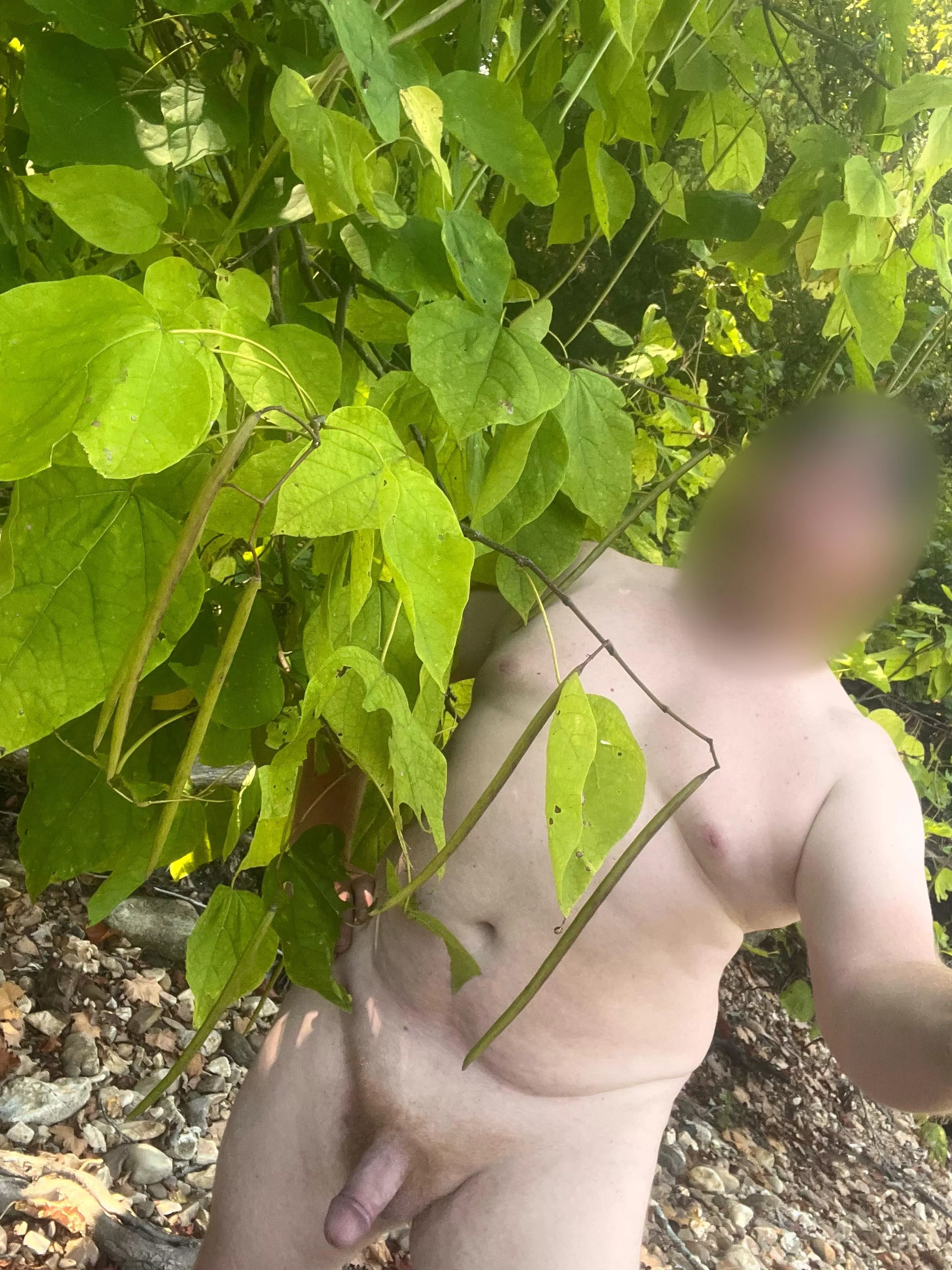 Jacks bean stalk posted by outdoordon