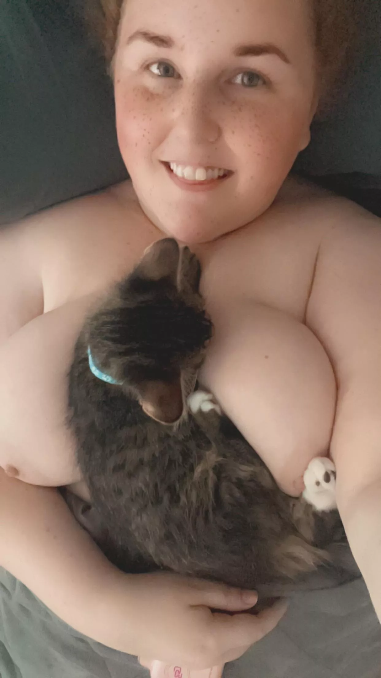 Kitties and Titties posted by SpecialistCode8821