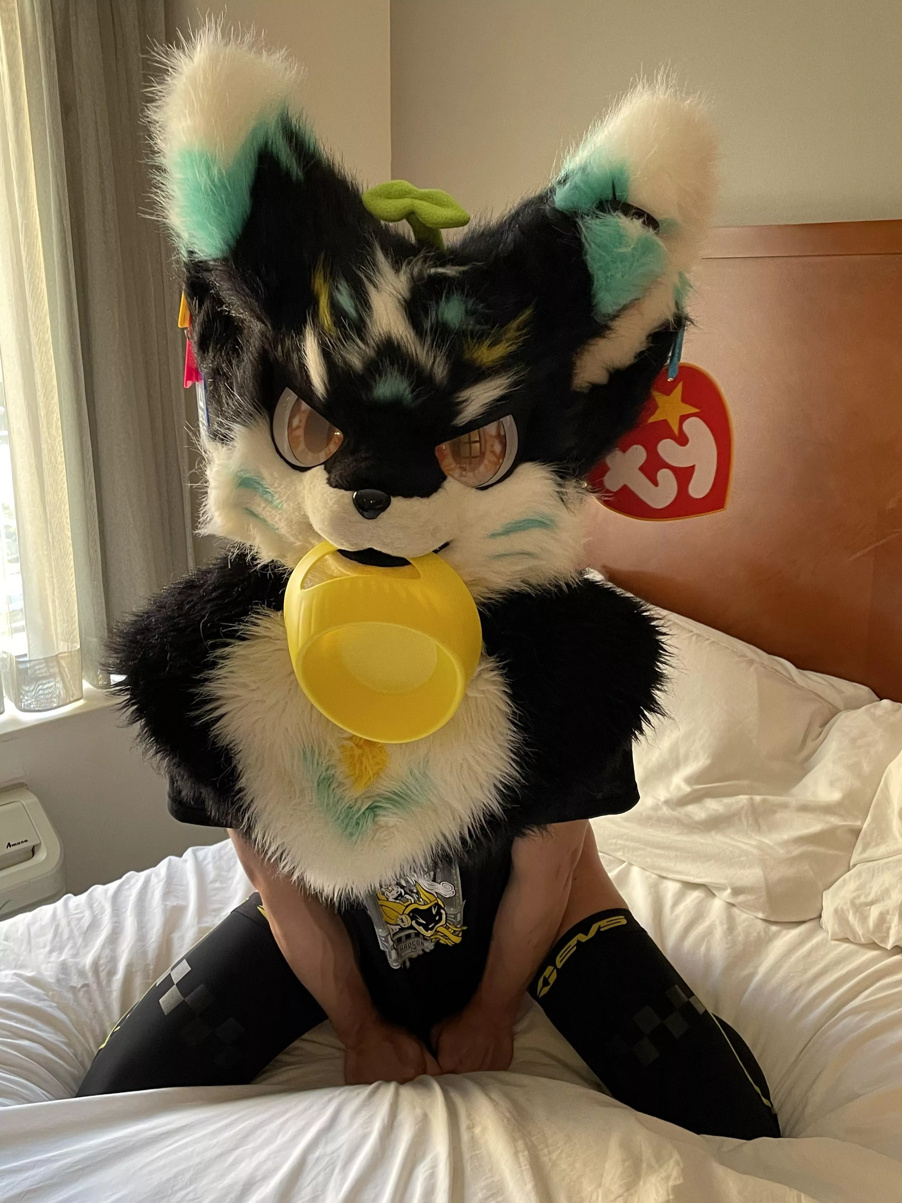 Kittys got there bowl, now just to add milk  posted by BluPointA