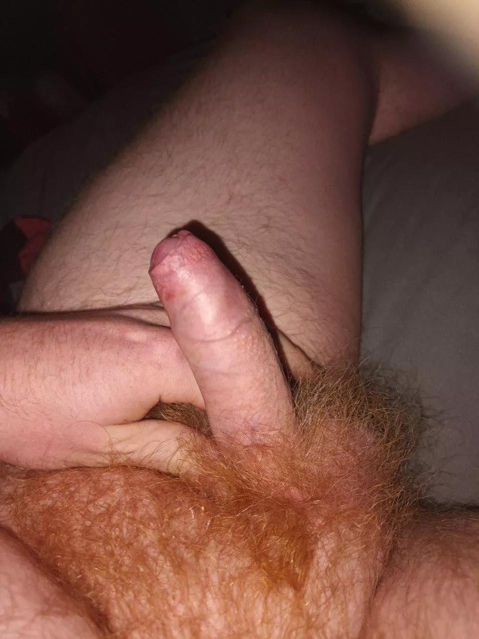 [26] 😈 send pics? posted by Alone-Pollution-3192