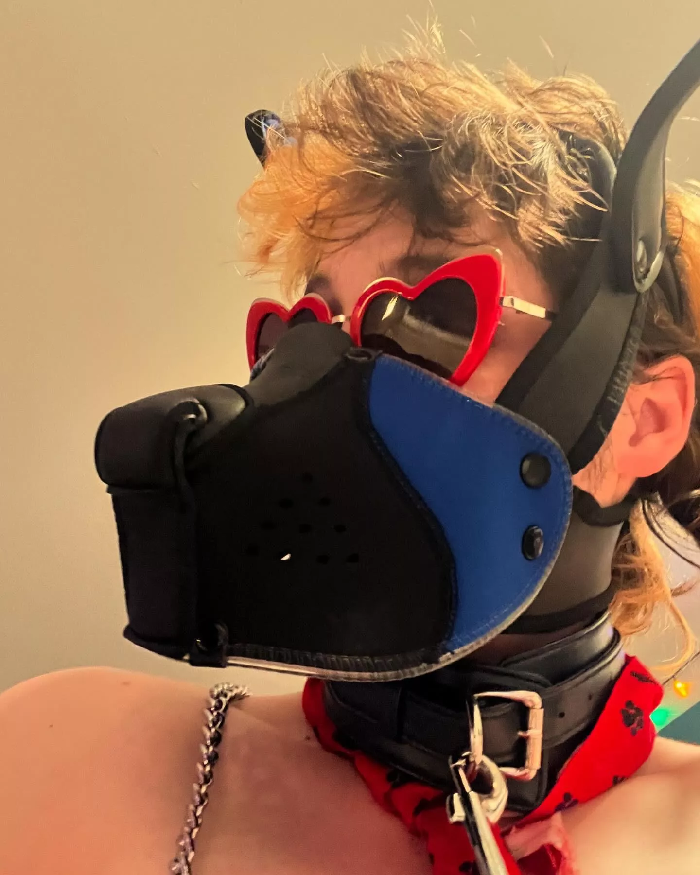 Aroo  posted by BearSecret4271