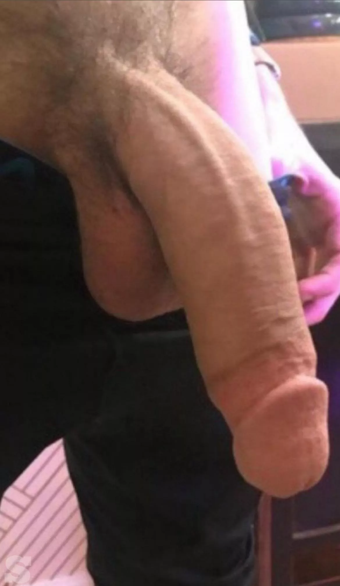 Big softie! posted by Dapper_Objective320