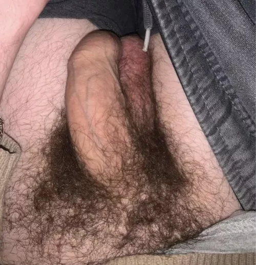 Hairy and musky by Opening_West_8431
