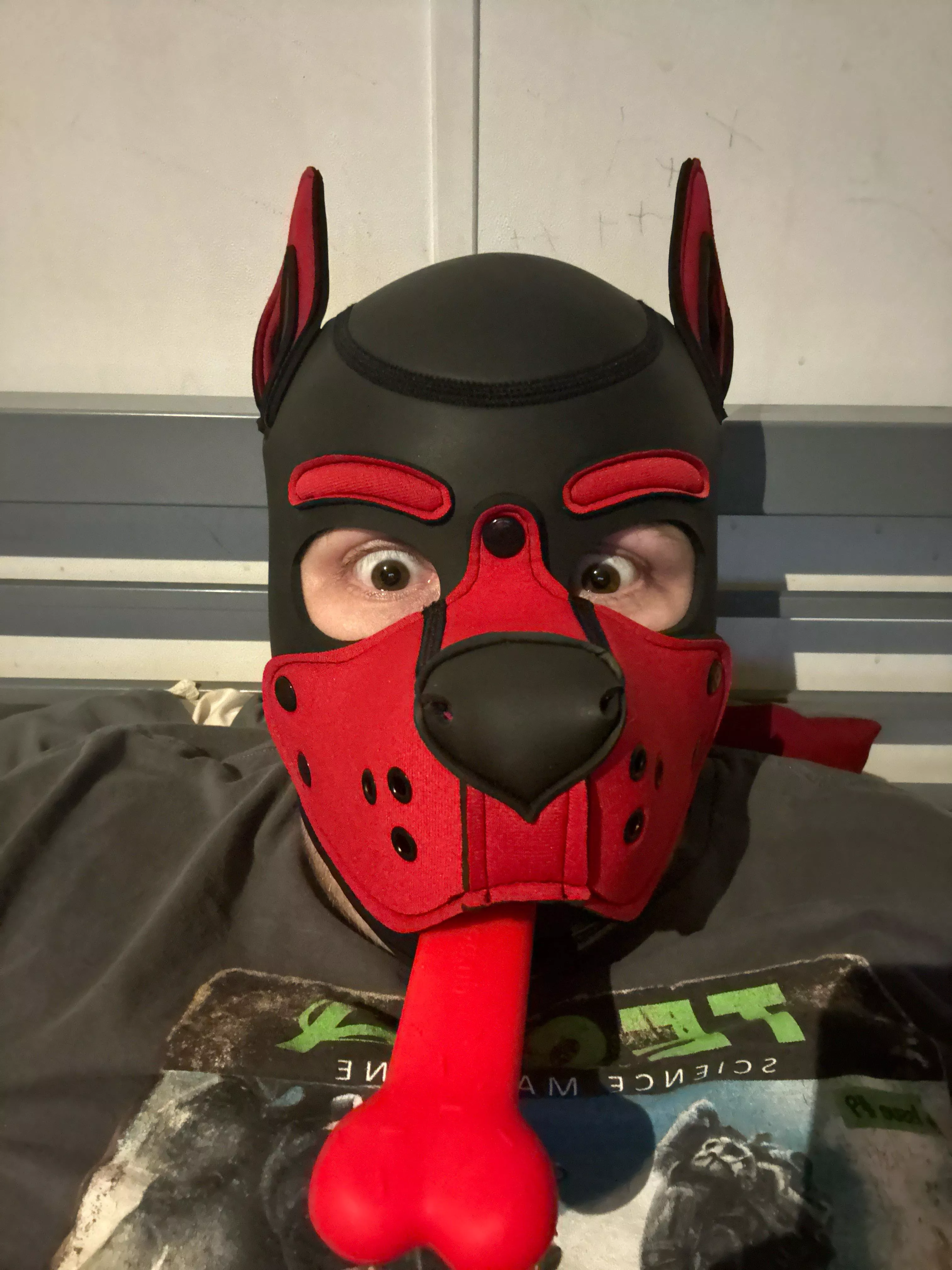 Hemlooo posted by Relative-Dust-1095