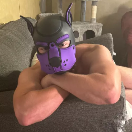 Hey Pups and Pals! I’m Artemis, nice to meet you all 😁💜 by Idunnowh01am