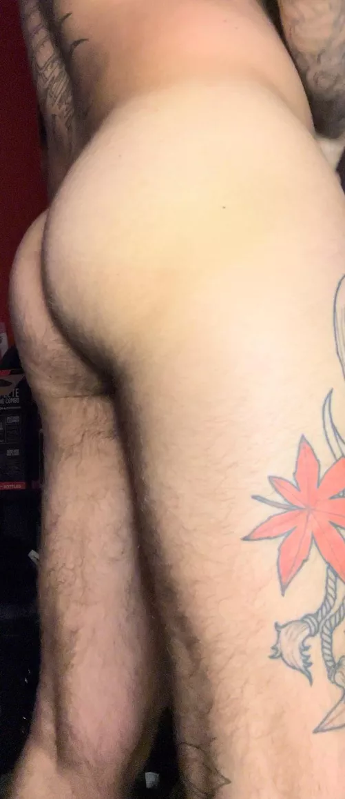 How’s it looking back there  by Maple_243