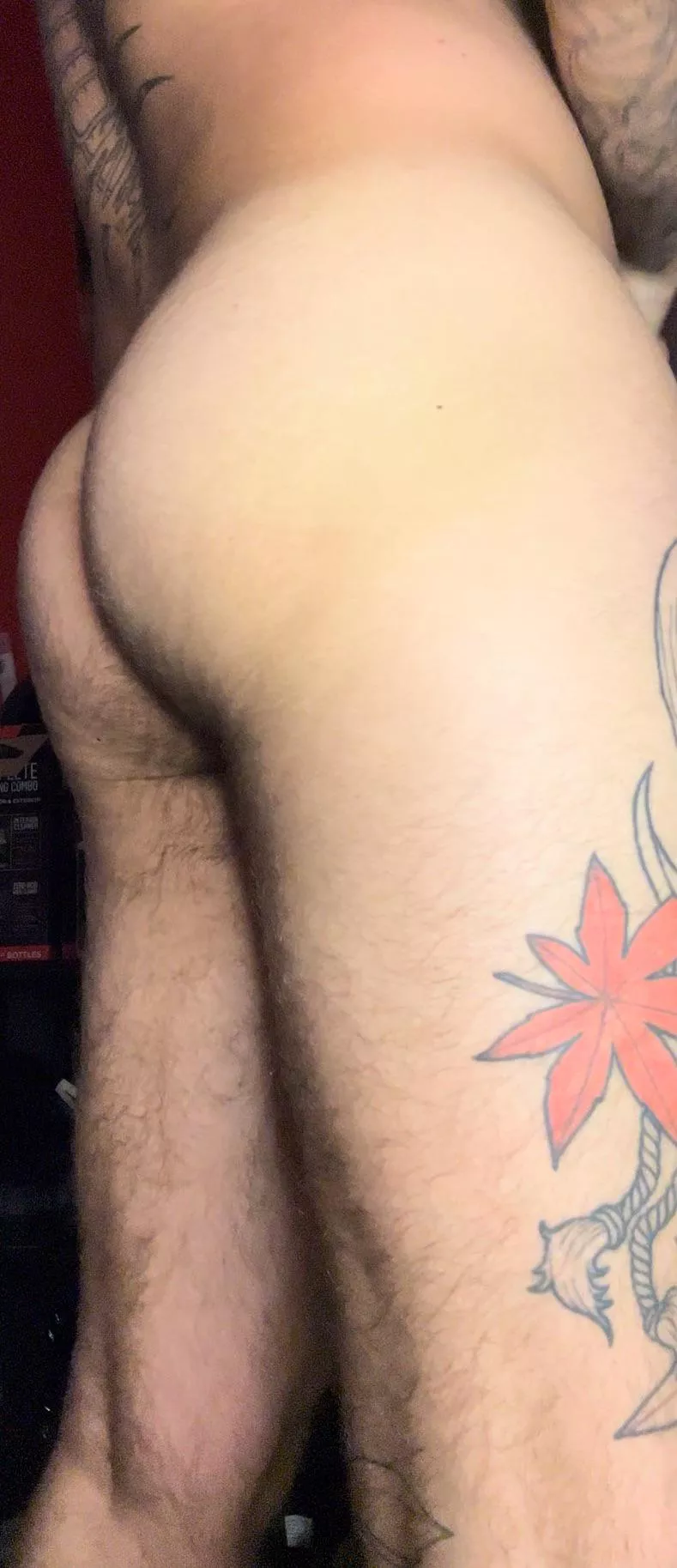 How’s it looking back there  posted by Maple_243