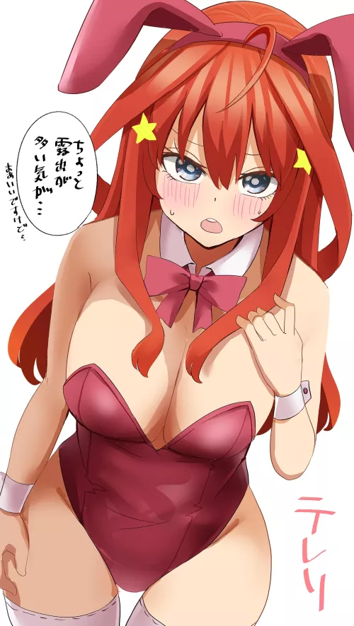 Itsuki's Revealing Bunny Girl Outfit (Quintessential Quintuplets) by Csxc