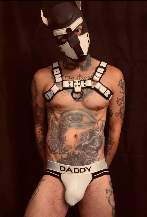 New pup in the pound  by Taako_Tuuesday