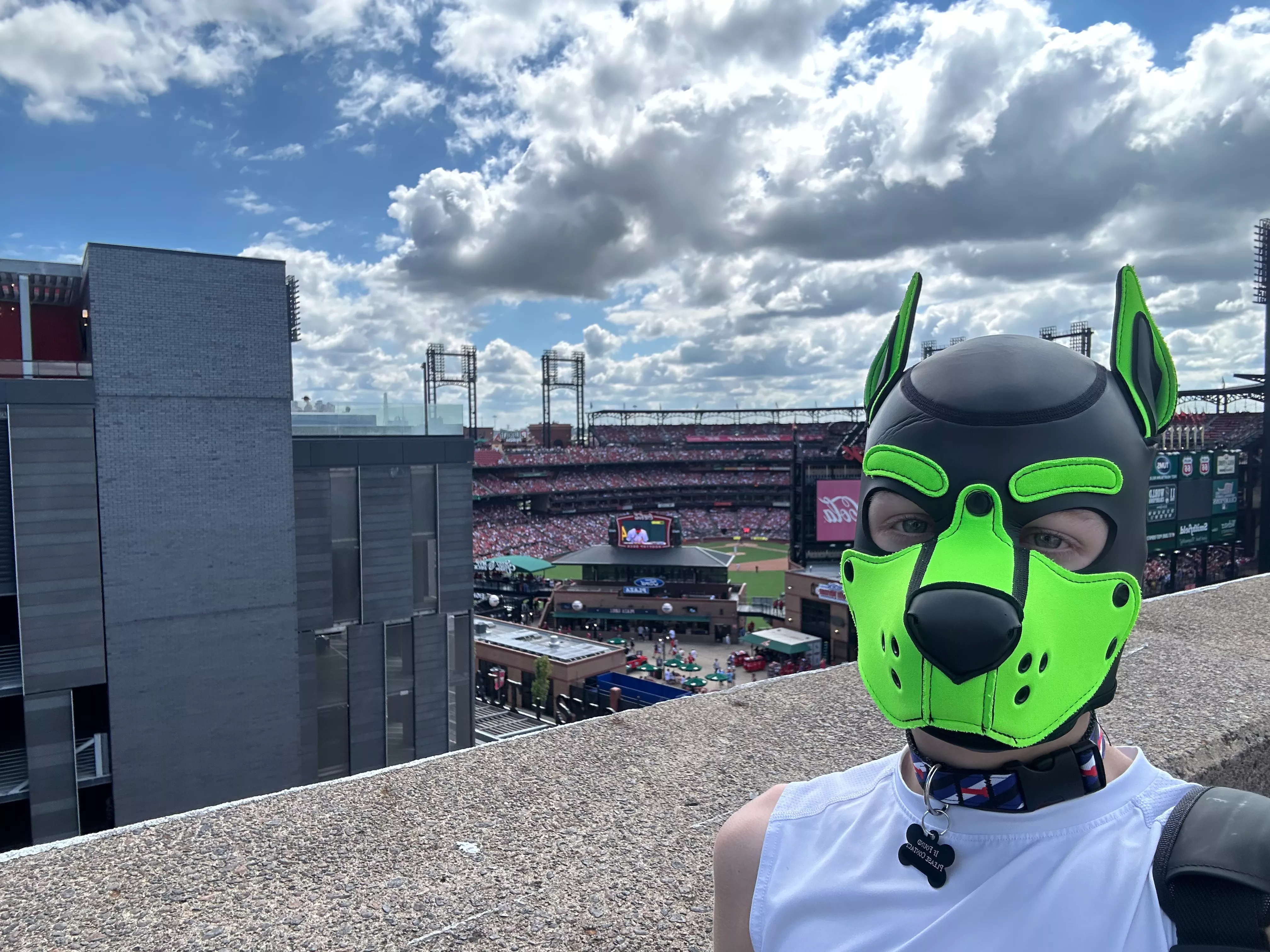 Snooping on the game! posted by Pup-Atlas