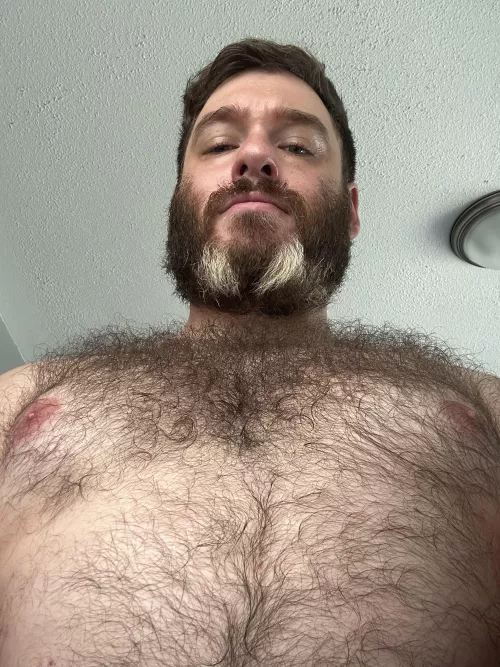 Come lay on my fur by btheslayerr