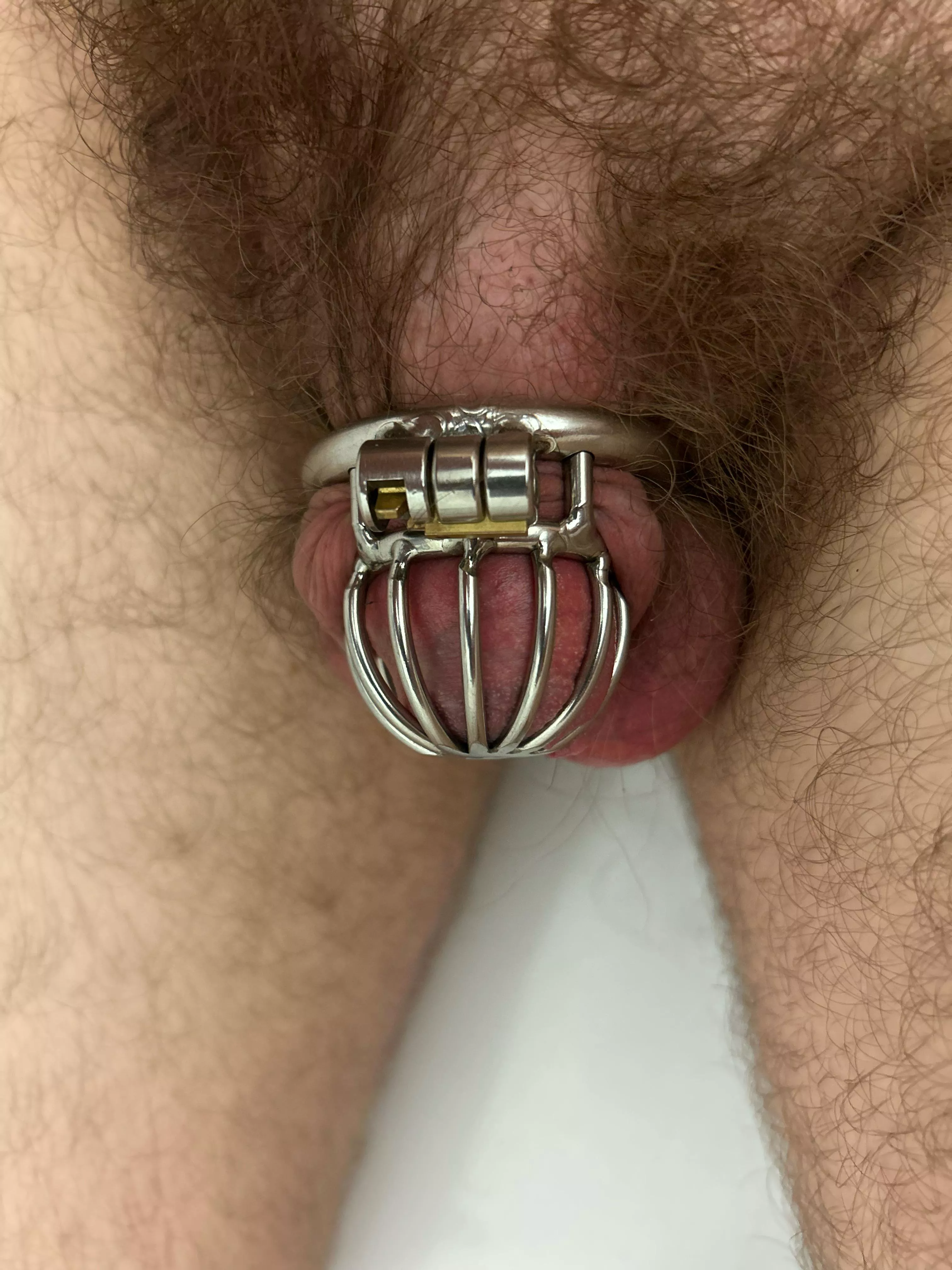 finally got inside the smaller cage posted by Endlessscience