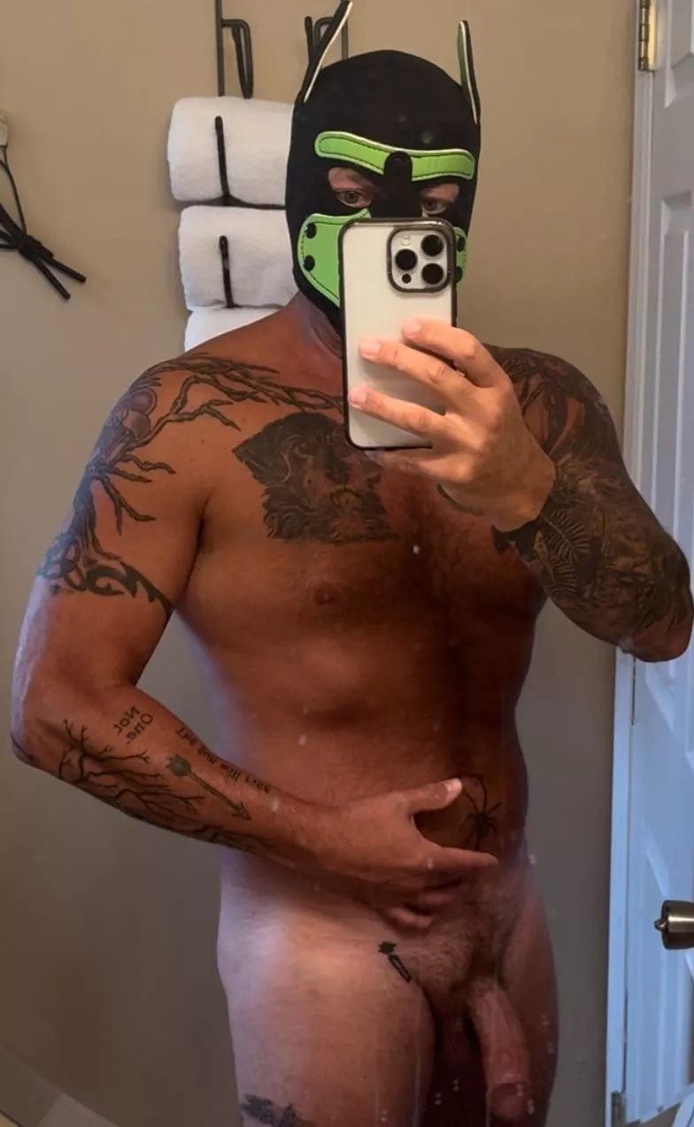 First hood - am I doing this right  posted by Anonymuss11