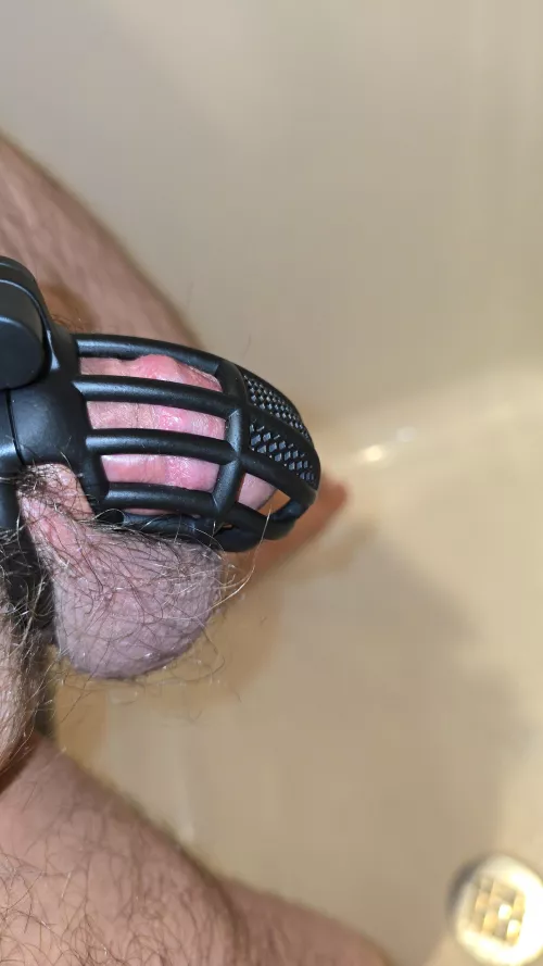 First time in a cage. by Existing-Bit8300