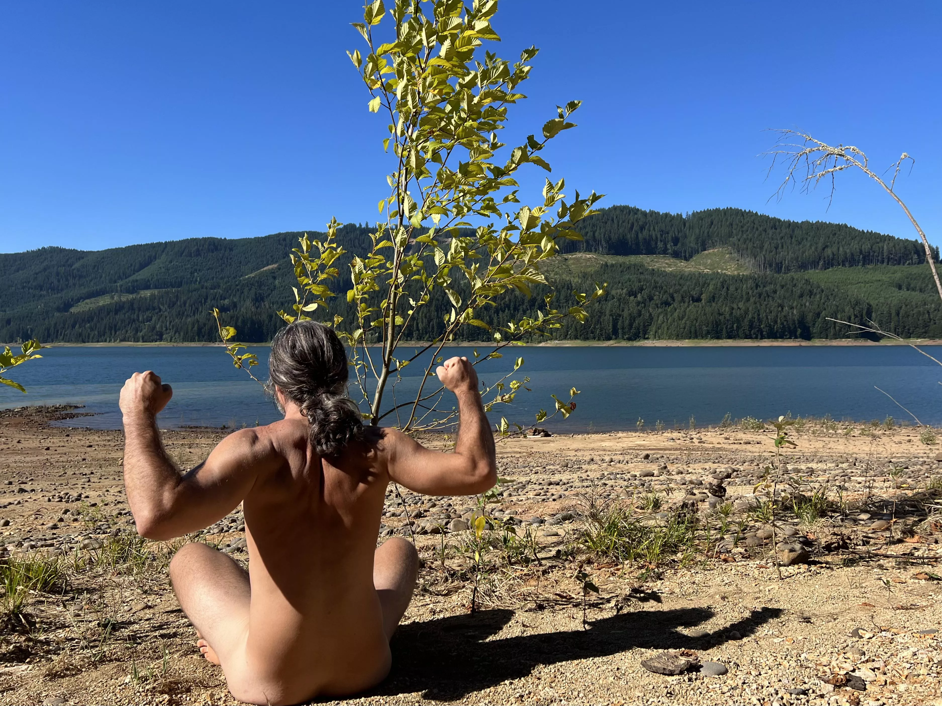 I am my spirit animal posted by eudaemonianMan