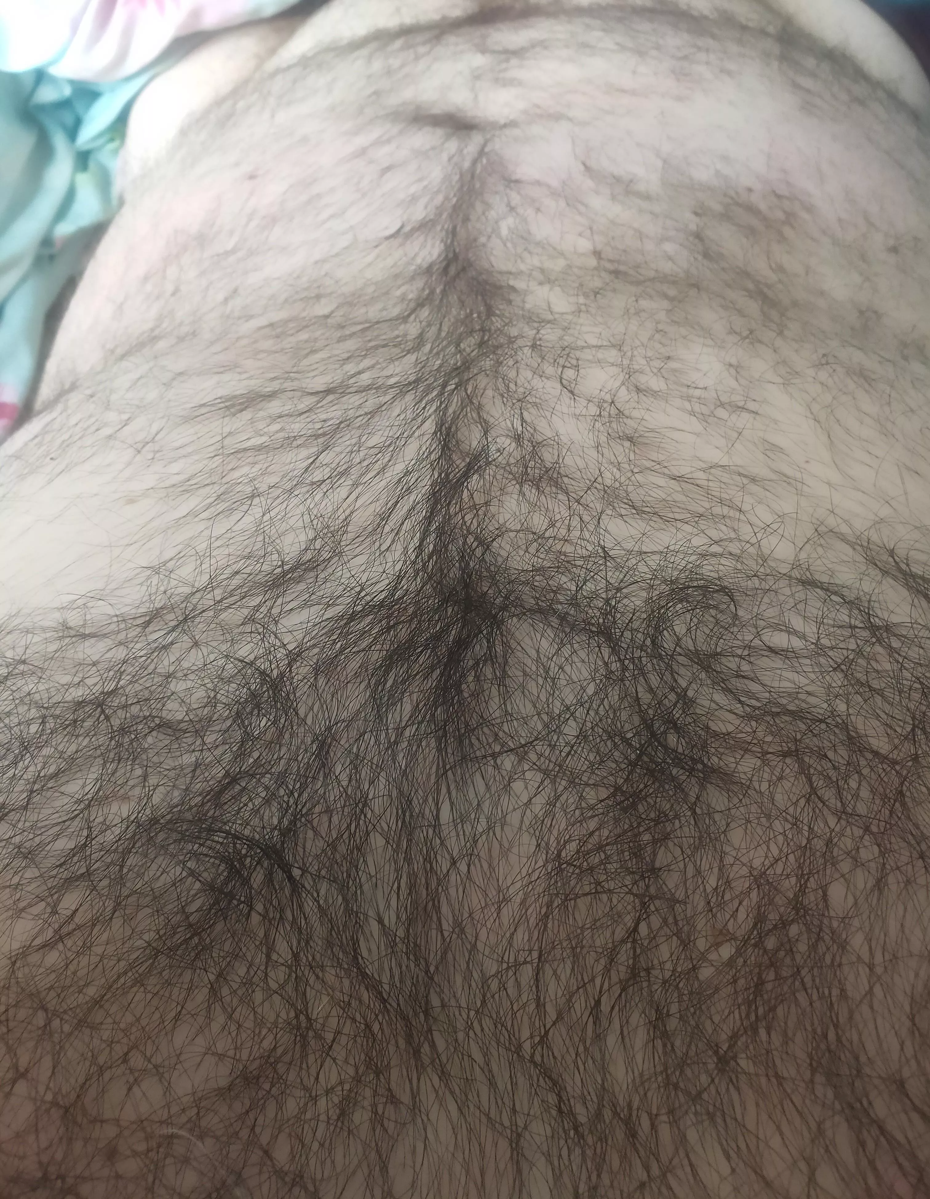 Morning time to relax  posted by HairyDiplodocus