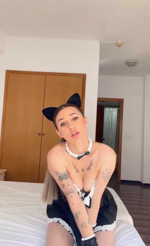 My friend looks at me funny when I show up with ears  by Efficient-Link-799