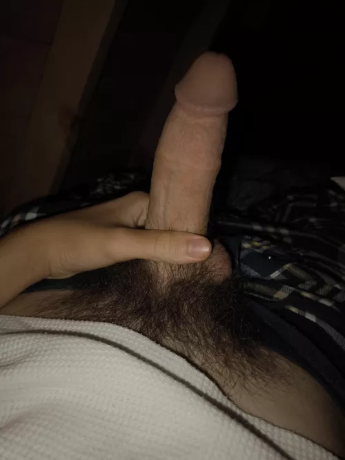 Should I shave/trim? by Optimal-Secretary-63