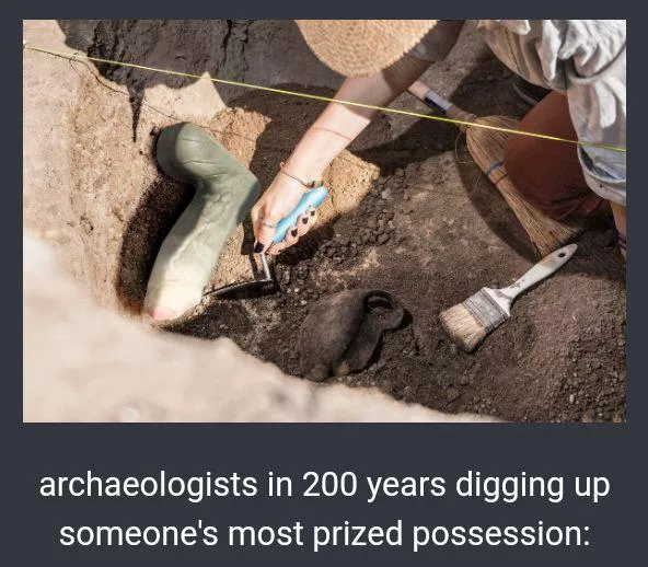 Some humour in Weredog's newsletter today 😆 posted by rolypolykanga