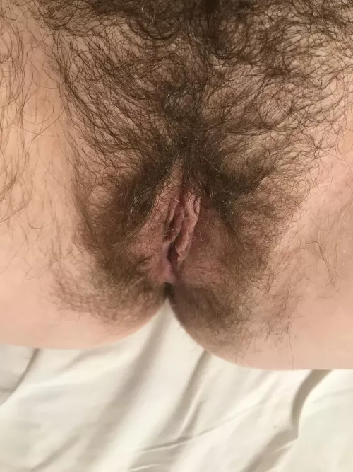 Thoughts on this hairy pussy  by DaisyLeonXXX