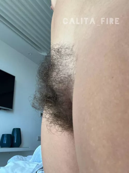 A bushy pussy is a happy pussy by Calita_fire