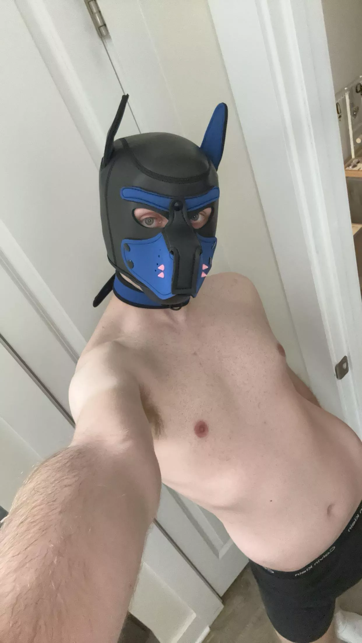 Finally got a collar to match my hood 🐶⛓️ posted by HornyWitchBoi