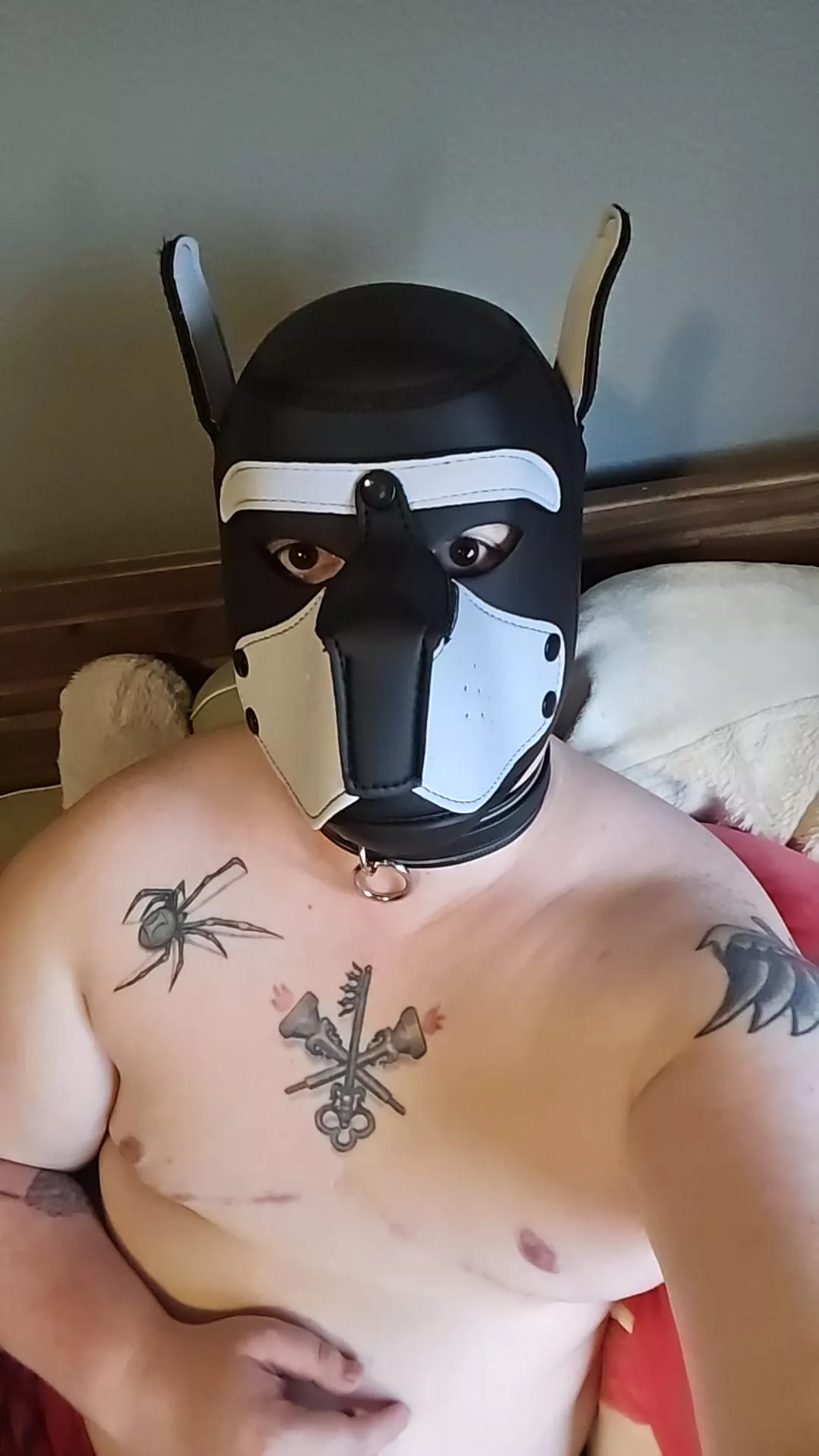 Ftm puppy trying to be a good boy posted by _callmebunny_