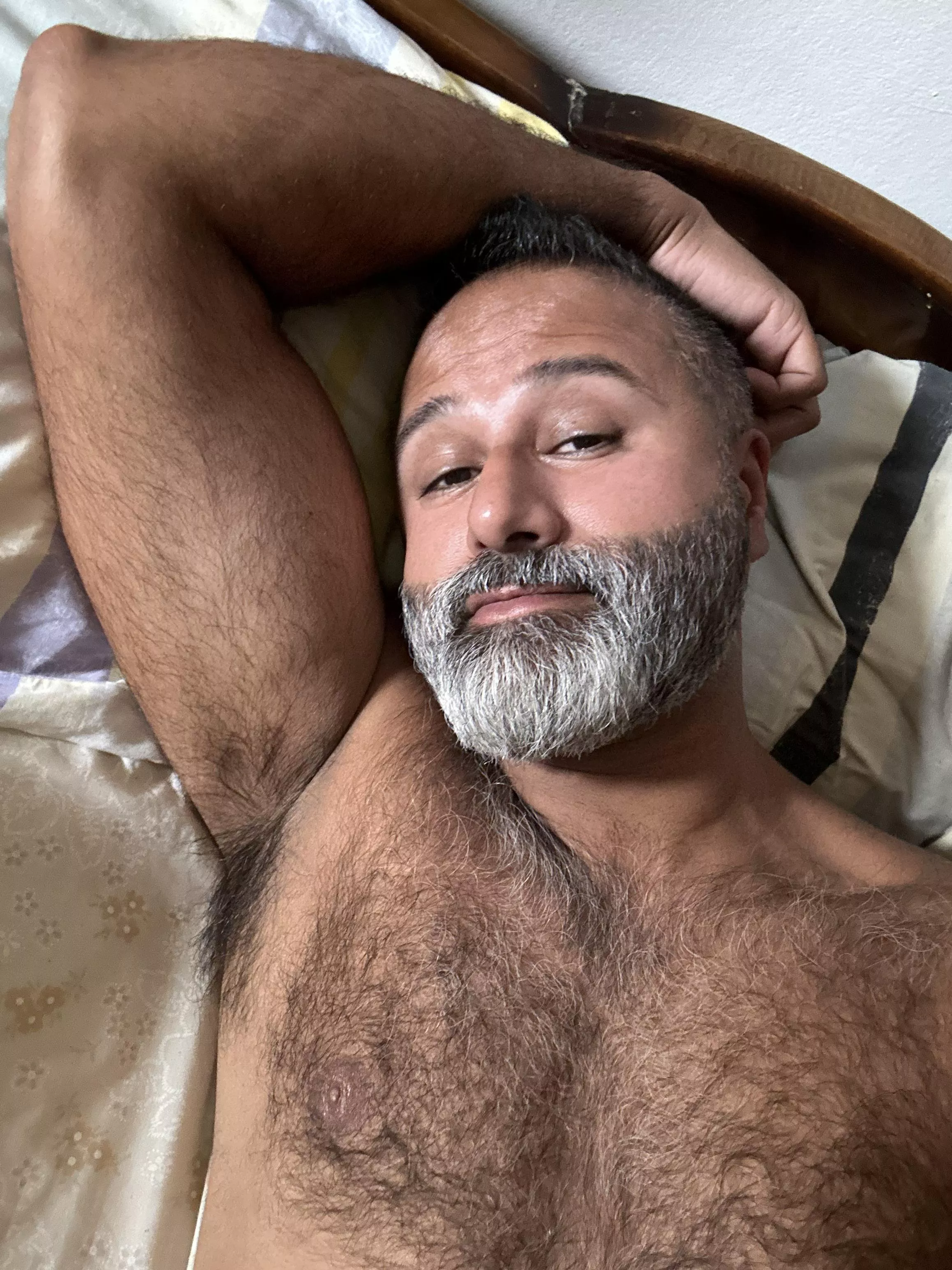 Getting some silver hair, hairy brown man, HMU posted by Level_Welcome_2960