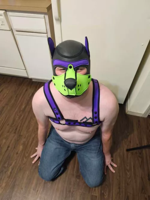 Is isa good boy?  by Sweaty_Year_2467