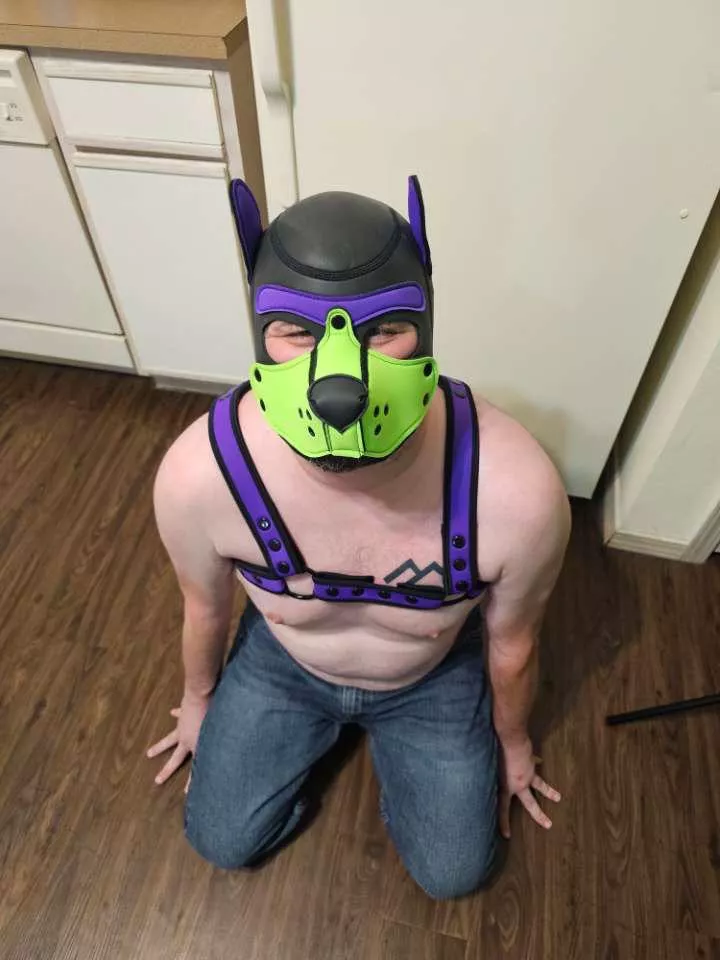 Is isa good boy?  posted by Sweaty_Year_2467