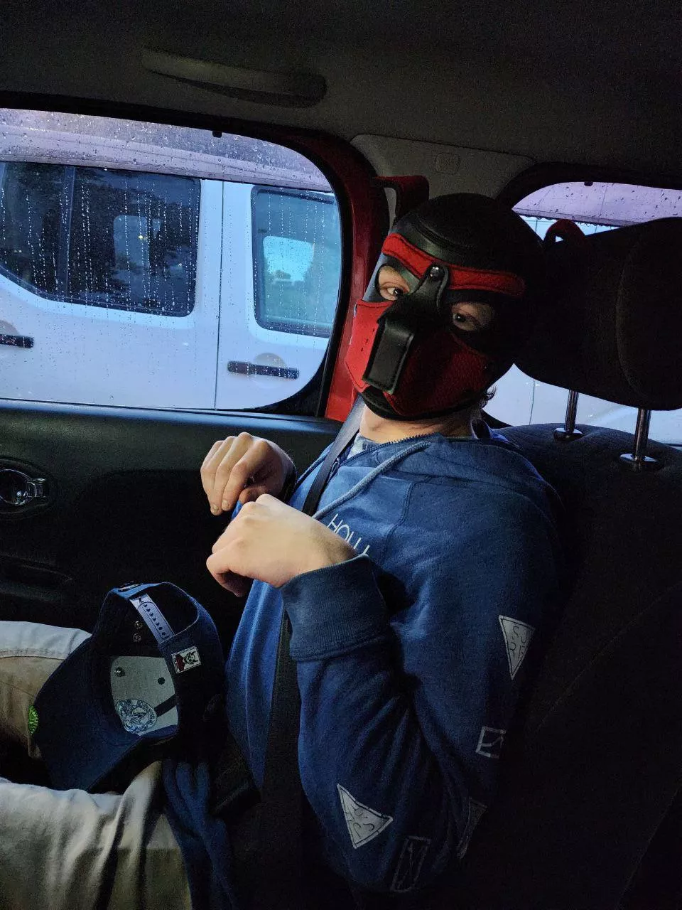 My handler bought me a hood today🥰 posted by chaddleshuge