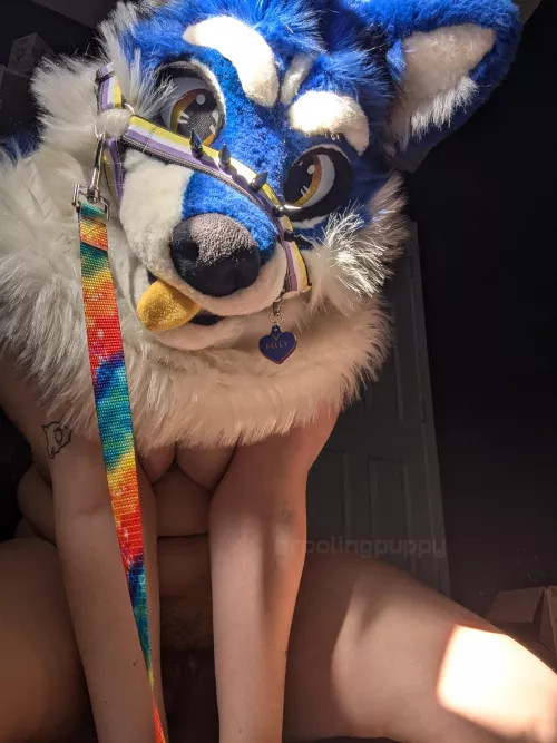 pov: you mentioned walkies by droolingpuppyy