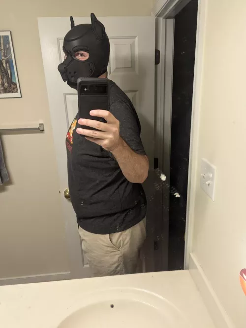 Pup is kind of  feeling himself this Sunday.  by Pup_mint_