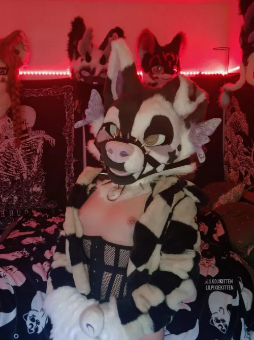 Puppy got their little titties out again  by lilpixiekitten