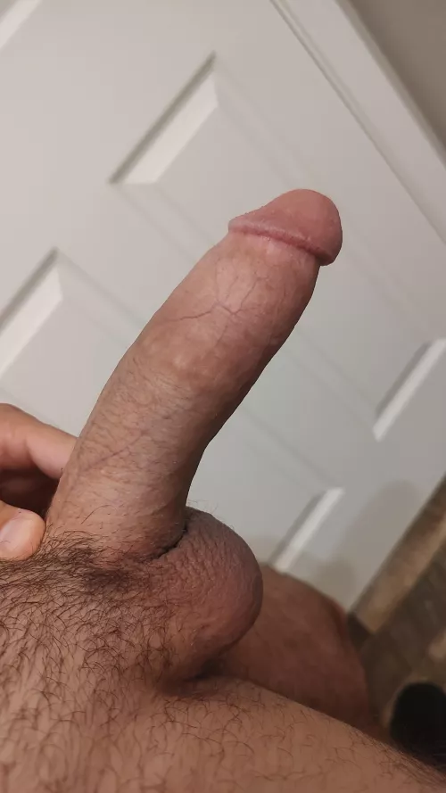 Thick  by KnibbHighPromKing