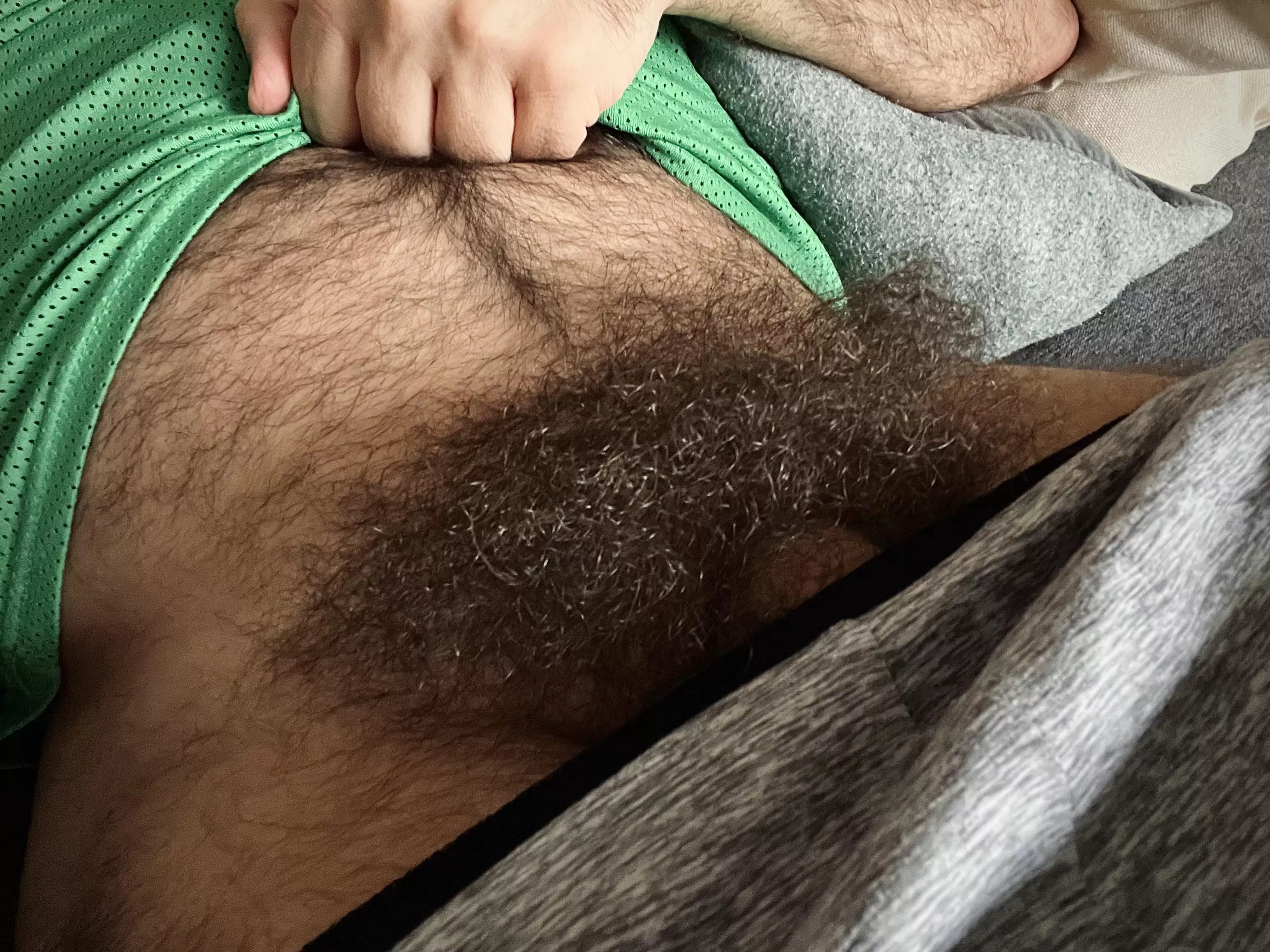 Would you call it a forest when it’s this big? posted by Otter_85