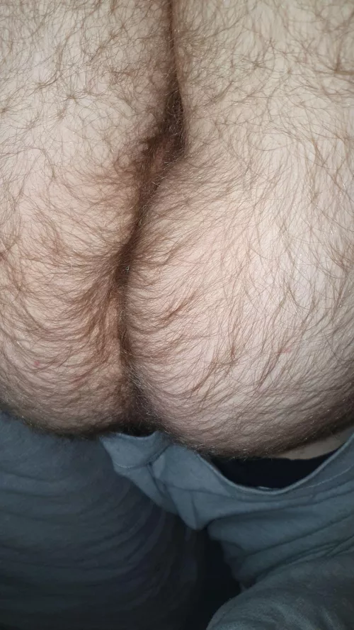 I decided to stop shaving my ass by Separate_Fly6315