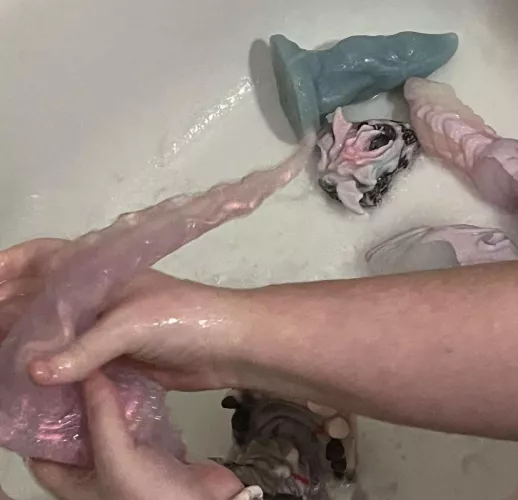 My friend snapped this pic the other day 😹 by Affectionate-Pie6