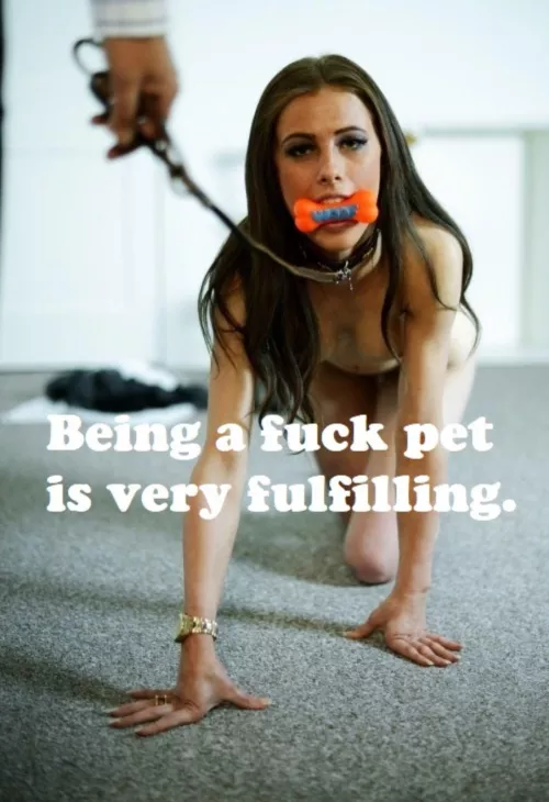 Put yourself to good use and become a sissy fuck pet for real men.  by SideFun3833
