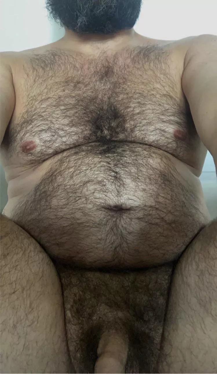 (41) Always looking for other stocky hairy 🐻 buddies to have some fun with. DMs open (20+) posted by No-Gap-4118