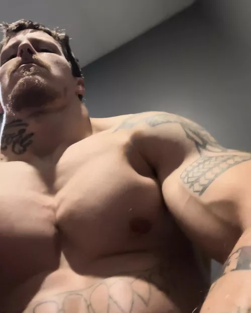 Chest day by alecnysten