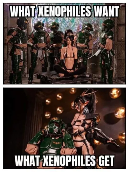 Dark eldar are the worst  by Cultural_Car_4195