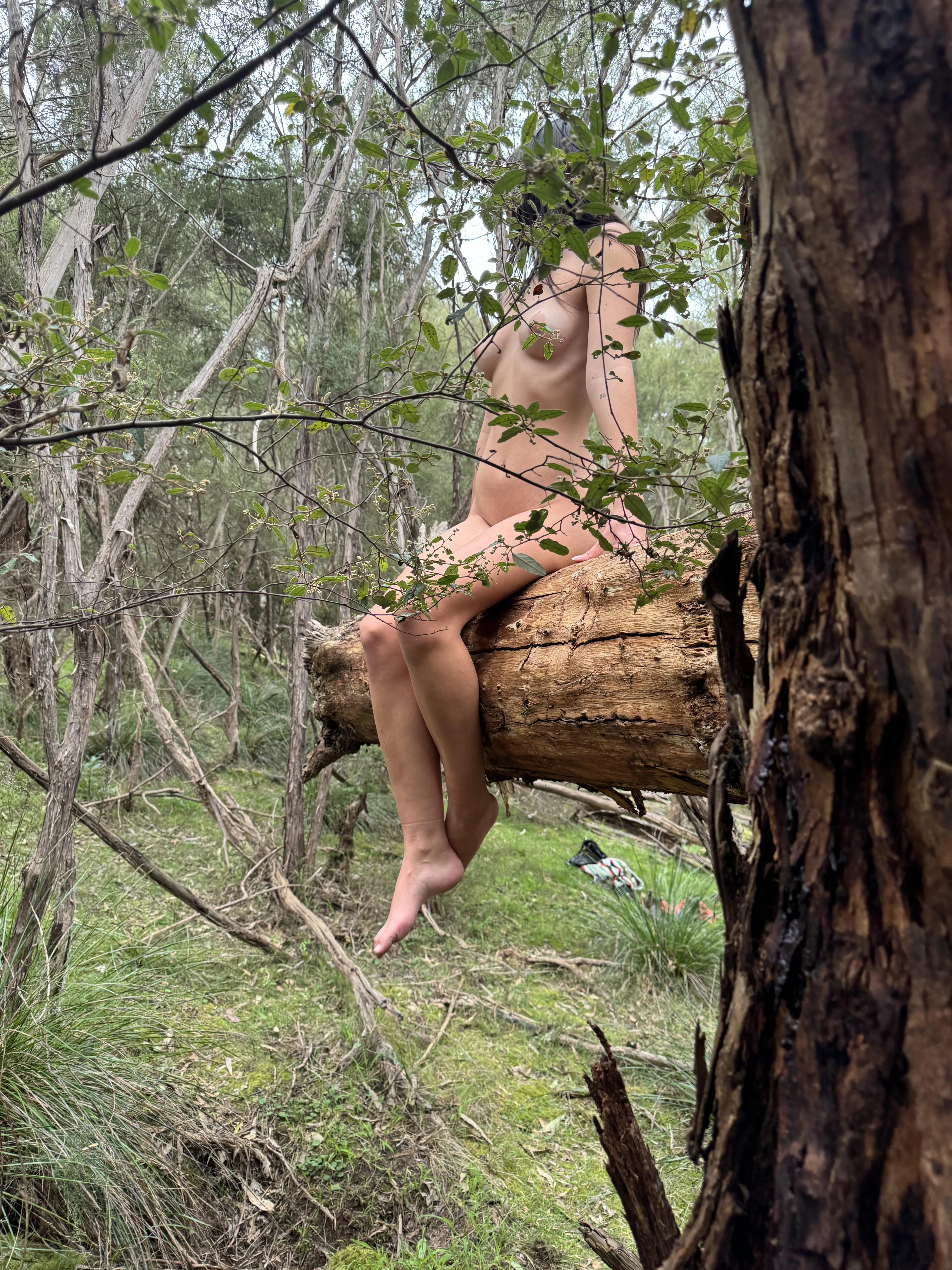 I found a very big piece of wood to sit on the other day  posted by isla_foxx