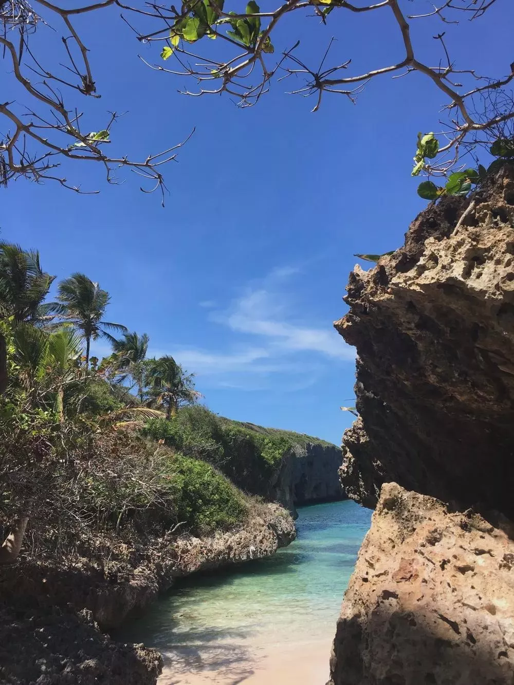 magical beach in samana posted by Vicka_cepeda